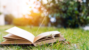 5 Must-Read Books for Summer 2025 | Rostrum Education